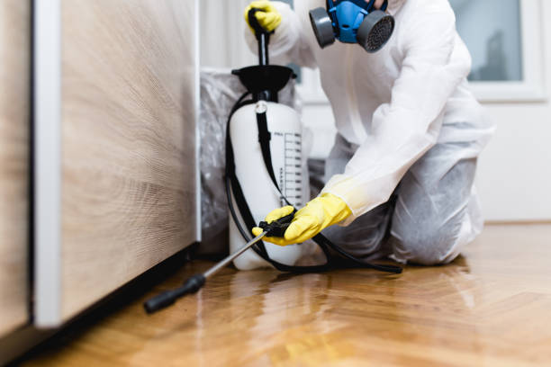 Pest Control for Restaurants in Snyder, TX