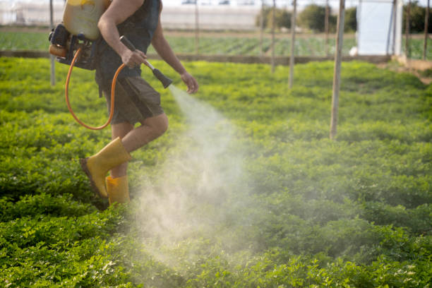 Best Affordable Pest Control Services  in Snyder, TX