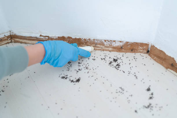 Best Residential Pest Control  in Snyder, TX